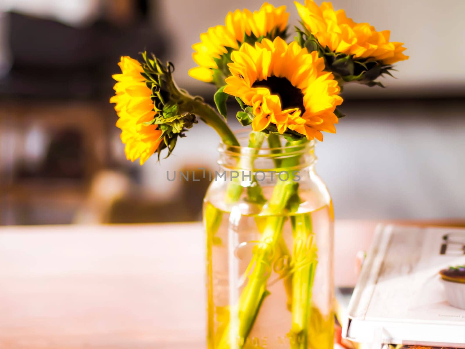 Beautiful Sunflower yellow Flowers In A bottle glass Vase over blur background.