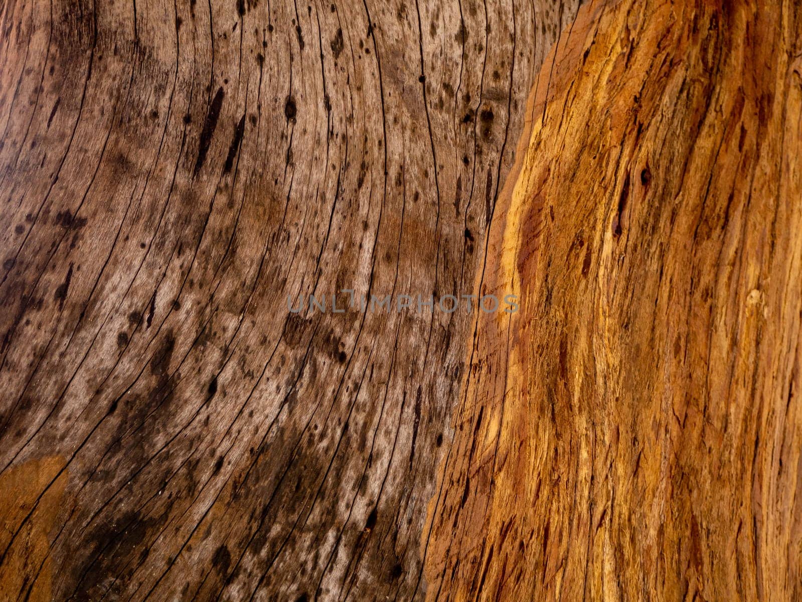Brown wood texture. Abstract for background, empty template