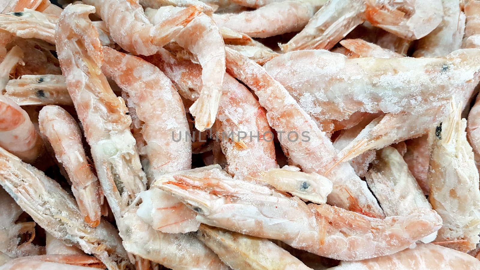 Frozen shrimps in ice. A lot of royal shrimp close-up
