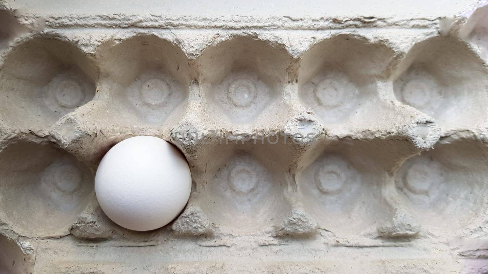 One egg in a package close-up. Lone chicken egg in a tray.