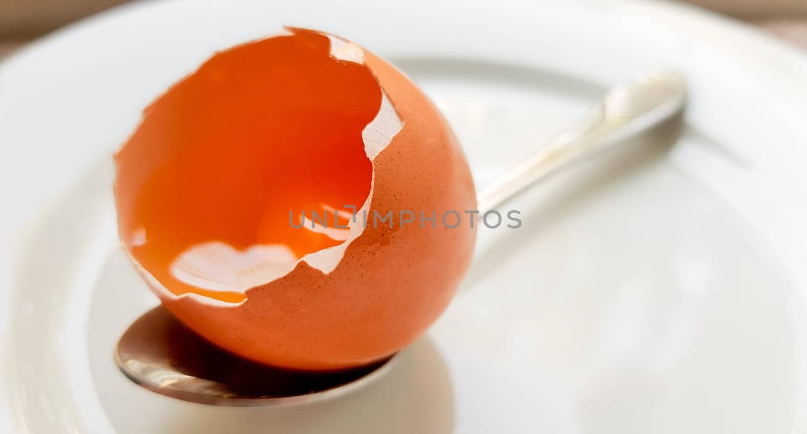 broken chicken egg in a white plate and spoon close-up. background with a broken chicken egg.