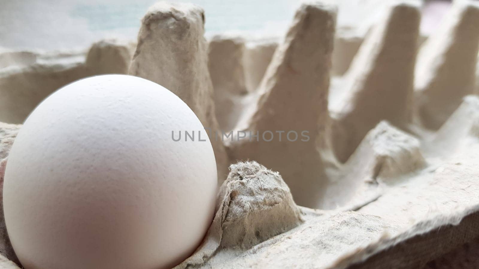 There is only one egg left - a side view. Lonely egg.
