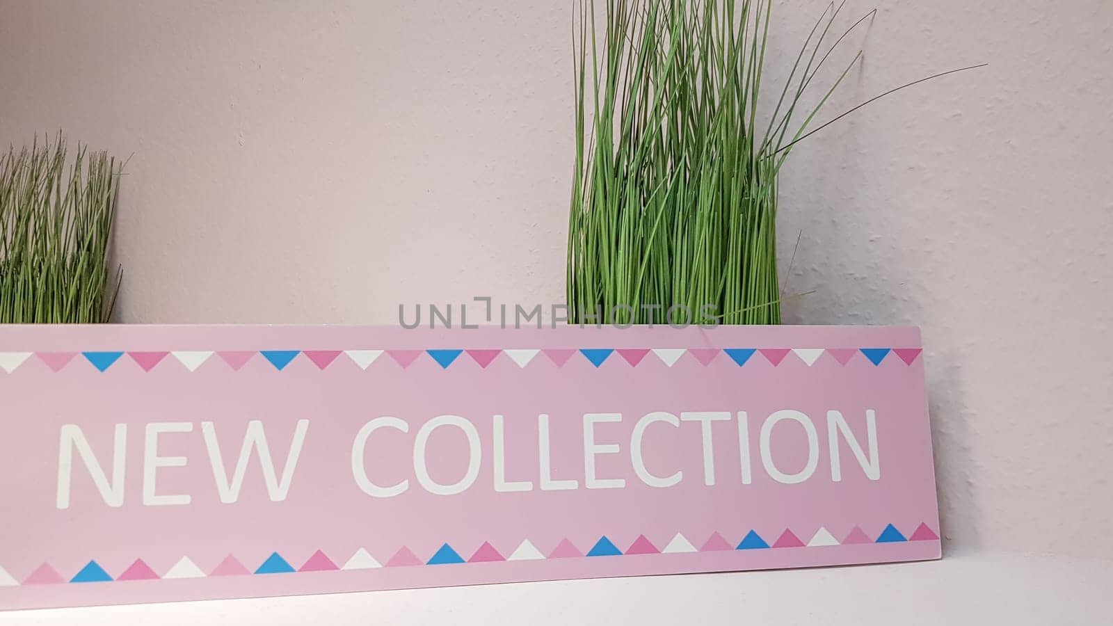 Close-up of a new pink collection plate on a shelf with green flowers on a light wall background with copy space. A new collection of women's clothing