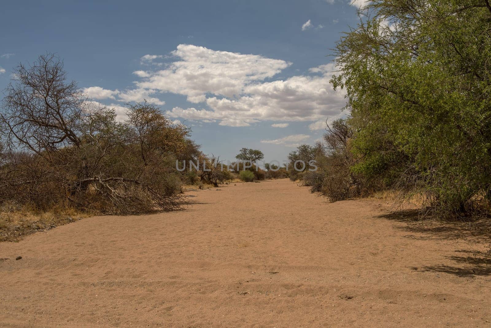 dry river in the south of Karibib, Erongo, Namibia