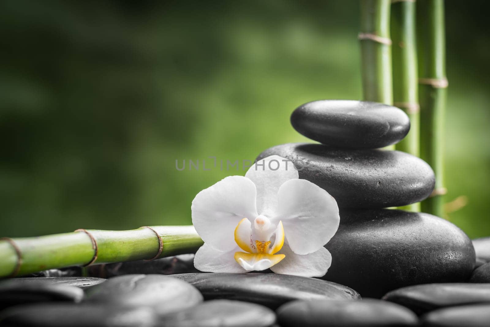 zen basalt stones ,orchid and bamboo
