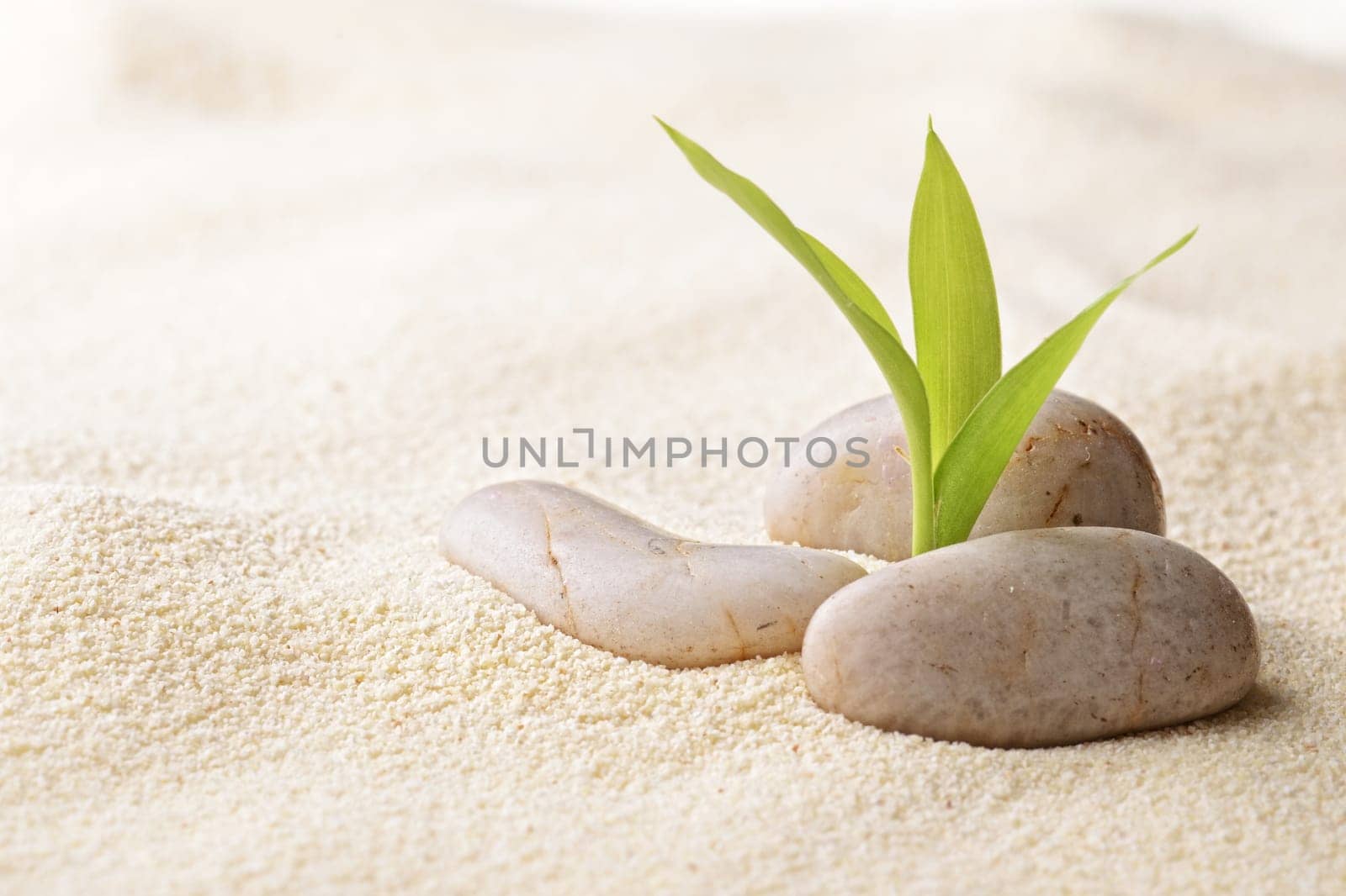 zen basalt stones and bamboo on the sand