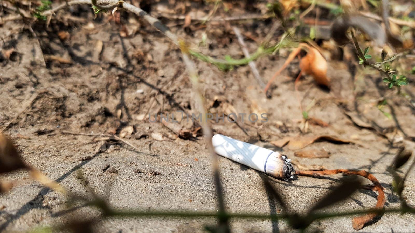 cigarette accidentally thrown into dry grass. Cigarette butt thrown into a green meadow, polluting nature and the environment.