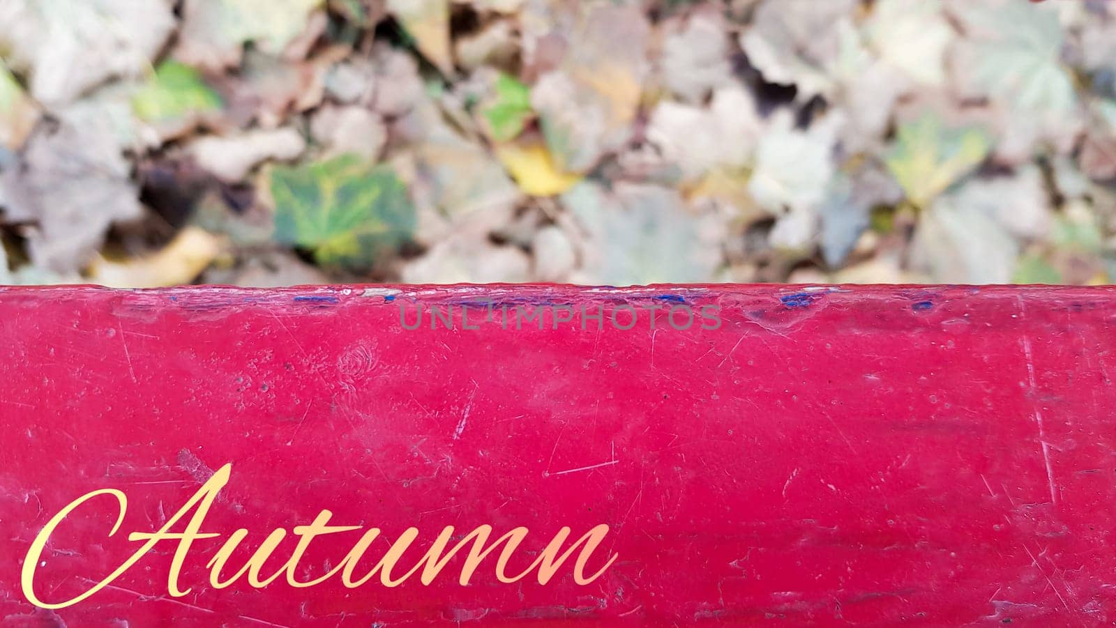 Red, green, yellow maple leaves. Indian summer. Falling leaves. Walk in the city park. Blurred focus. Park autumn concept, autumn background with copy space on red wooden background