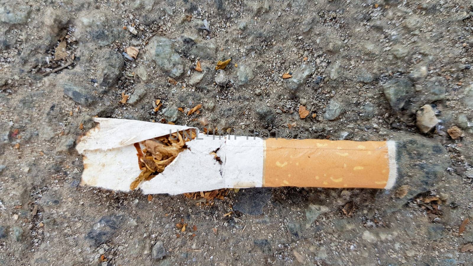 Close up of a broken cigarette butt on asphalt with copy space. International No Tobacco Day. World Day against cigarettes, nicotine and tobacco.