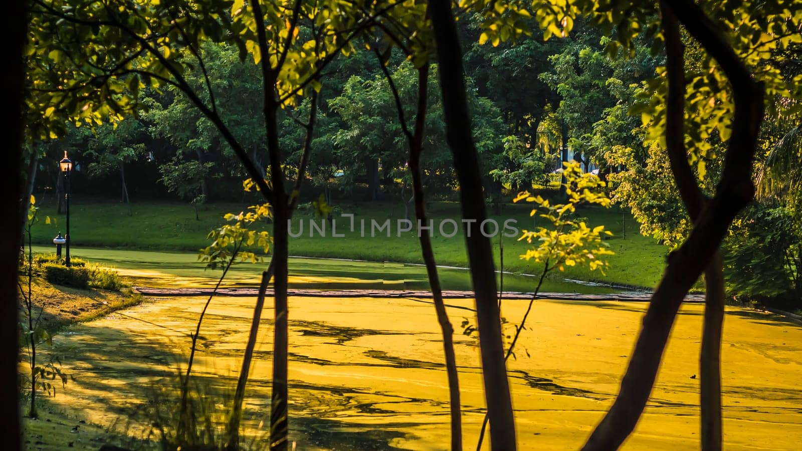 Background of city park in spring with trees, bushes and bench. island  and the lake