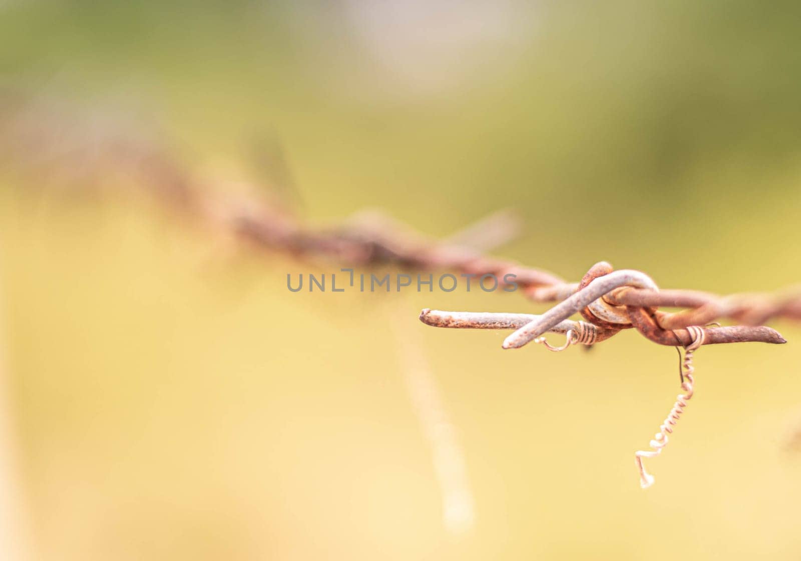 Selective focus barbed wire fence Rust wire fence stock image. Image of fence, danger, galvanized. Country fence.