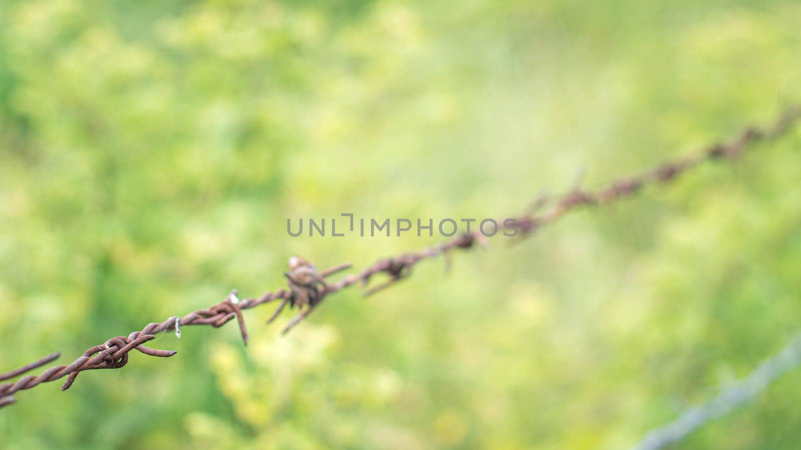 selective focus barbed wire fence Rust wire fence stock image. Image of fence, danger, galvanized. Country fence
