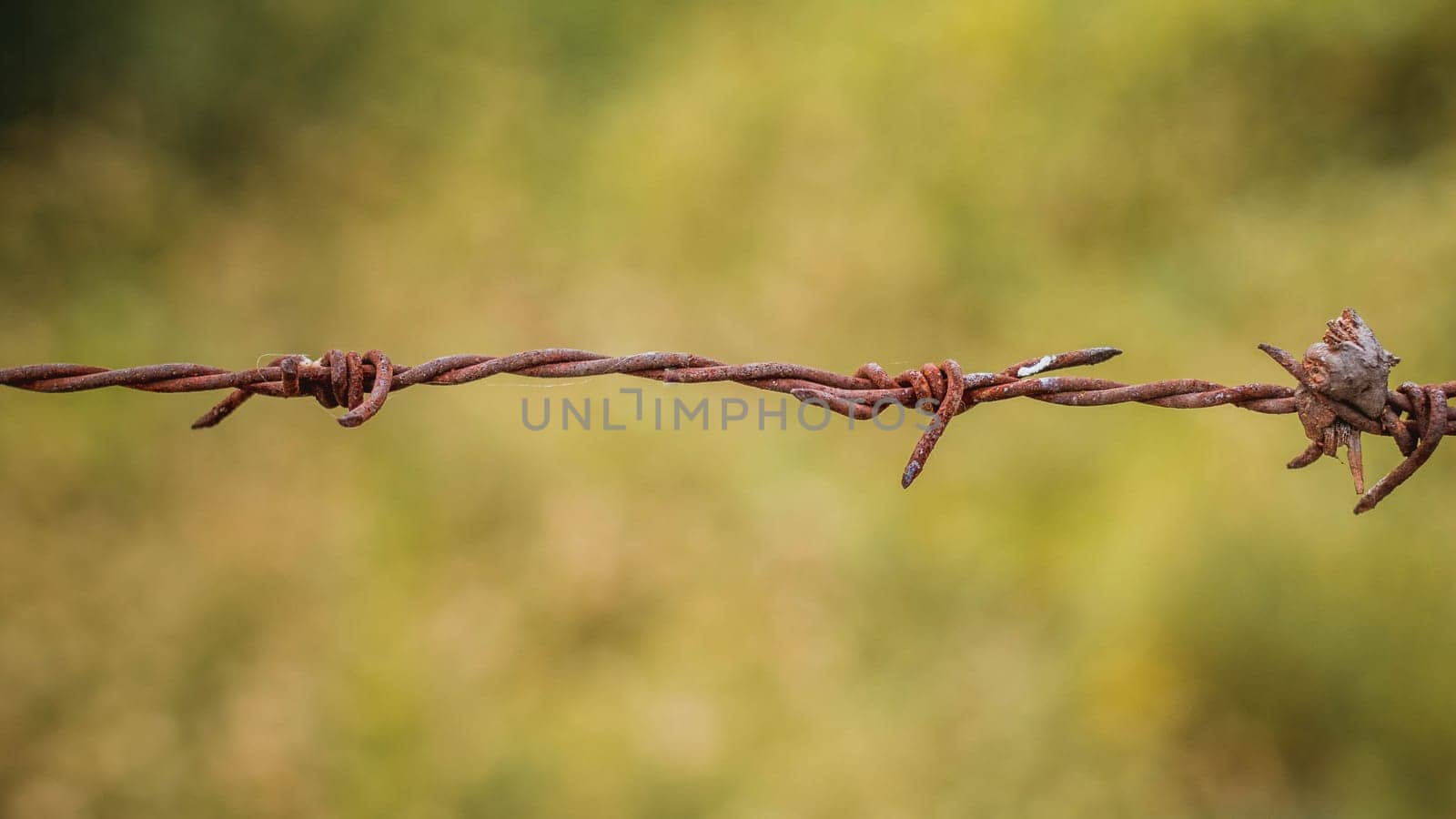 Selective focus barbed wire fence Rust wire fence stock image. Image of fence, danger, galvanized. Country fence.