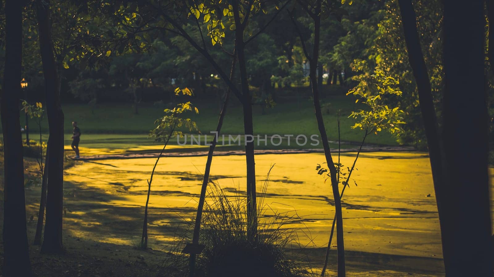 Background of city park in spring with trees, bushes and bench. island  and the lake
