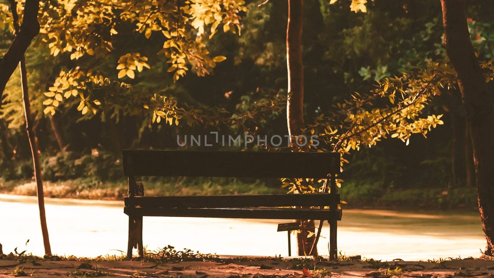 Background of city park in spring with trees, bushes and bench. island  and the lake