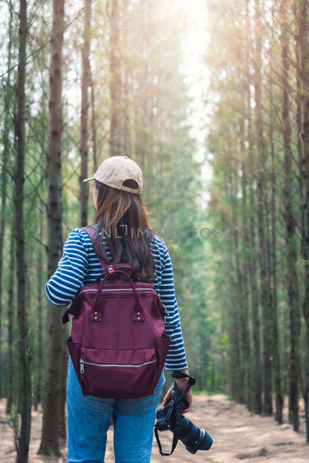 Young female woman lifestyle photographer travel taking photo in forest nature with backpack and copy space.