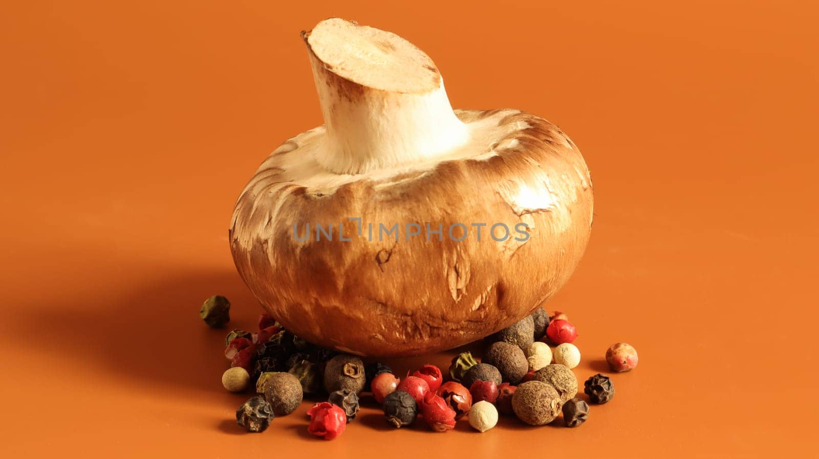 one brown royal champignon on a yellow background with a mixture of peppers. Such mushrooms resemble the taste of porcini mushrooms and have a more pronounced mushroom taste and smell. Copy space.