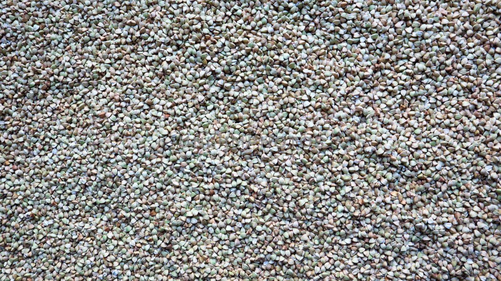 Background from raw organic green buckwheat porridge, vegan food. Texture of scattered buckwheat groats. Seeds are triangular in shape. Organic food. The concept of diet, weight loss, healthy eating