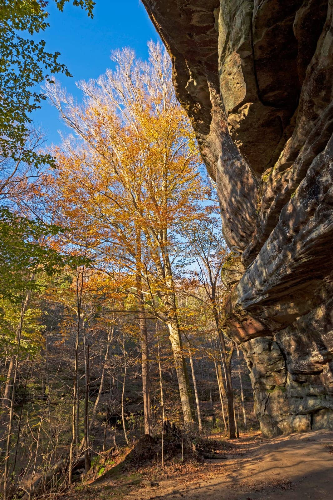 Fall Colors Peeking Out From A Dramatic Overhang on the Rim Rock National Recreational Trail in Illinois
