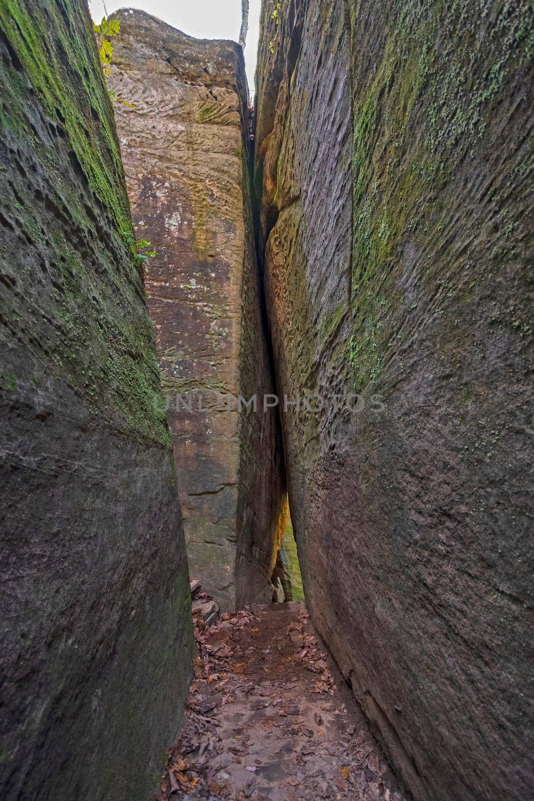 Narrow Trail Between the Rock Slabs in the Rim Rock National Recreation Trail in Illinois