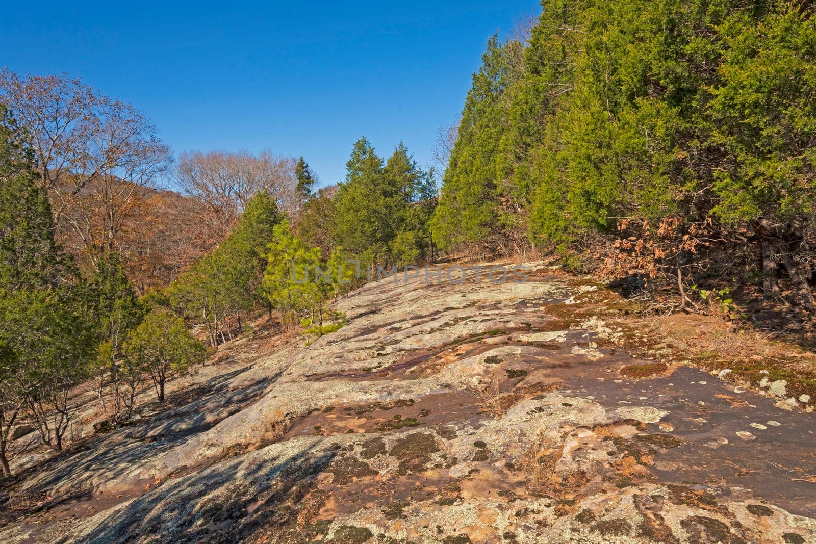 Bare Sandstone Ridge in Amogst the Trees in the Bell Smith Springs Scenic Area in Illinois