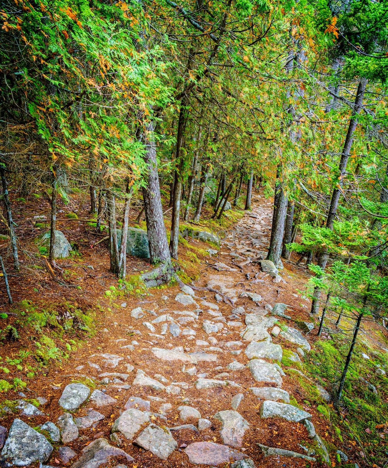Hiking trail along the Long Pond in Acadia National Park in Maine