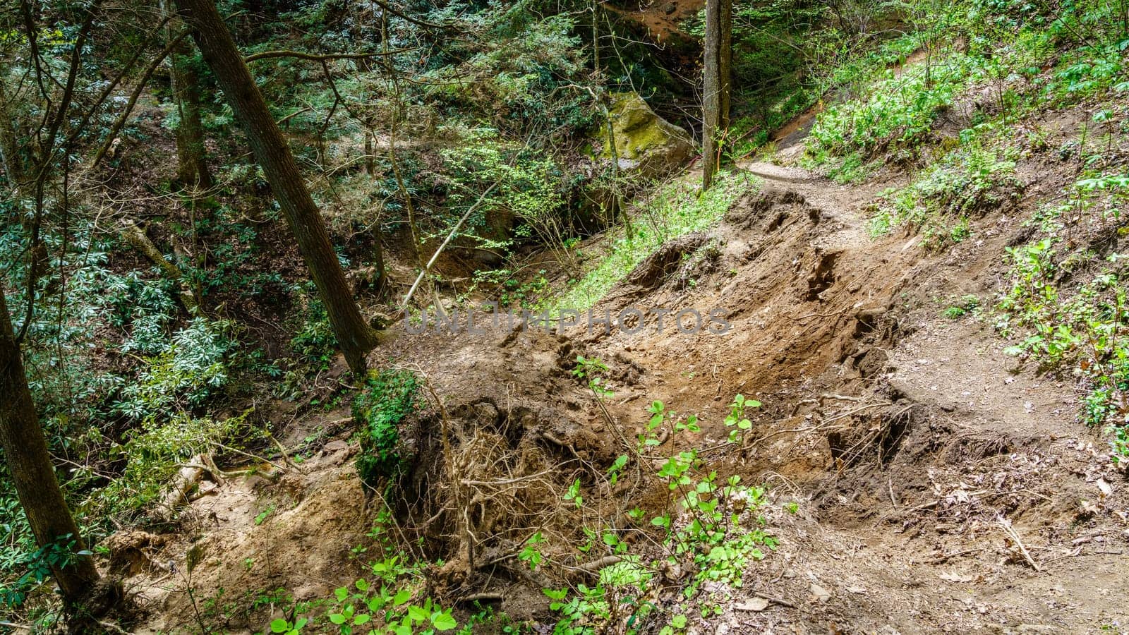 Landslide damaging a hiking trail in Red River Gorge in Kentucky