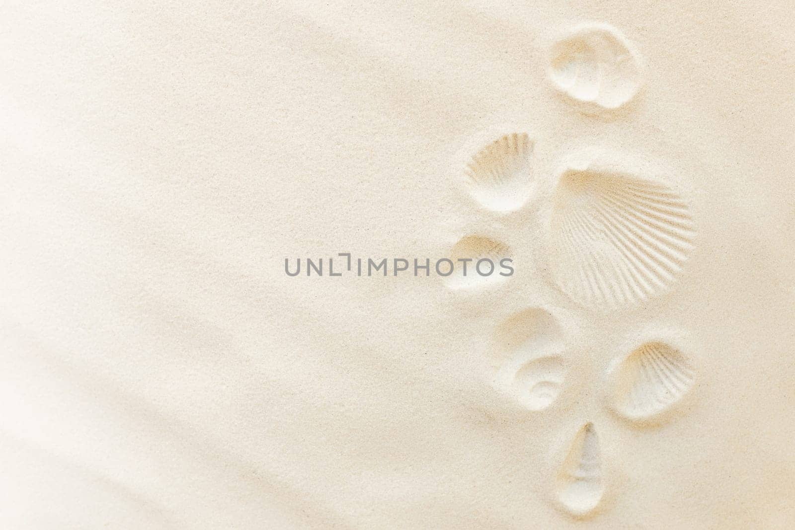 Travel flat lay, vacation concept. Sea shell print on sand and conch imprint. Travelling to warm countries, vacation trip. Copy space for different travel text. Banner with summer sand waves and sun