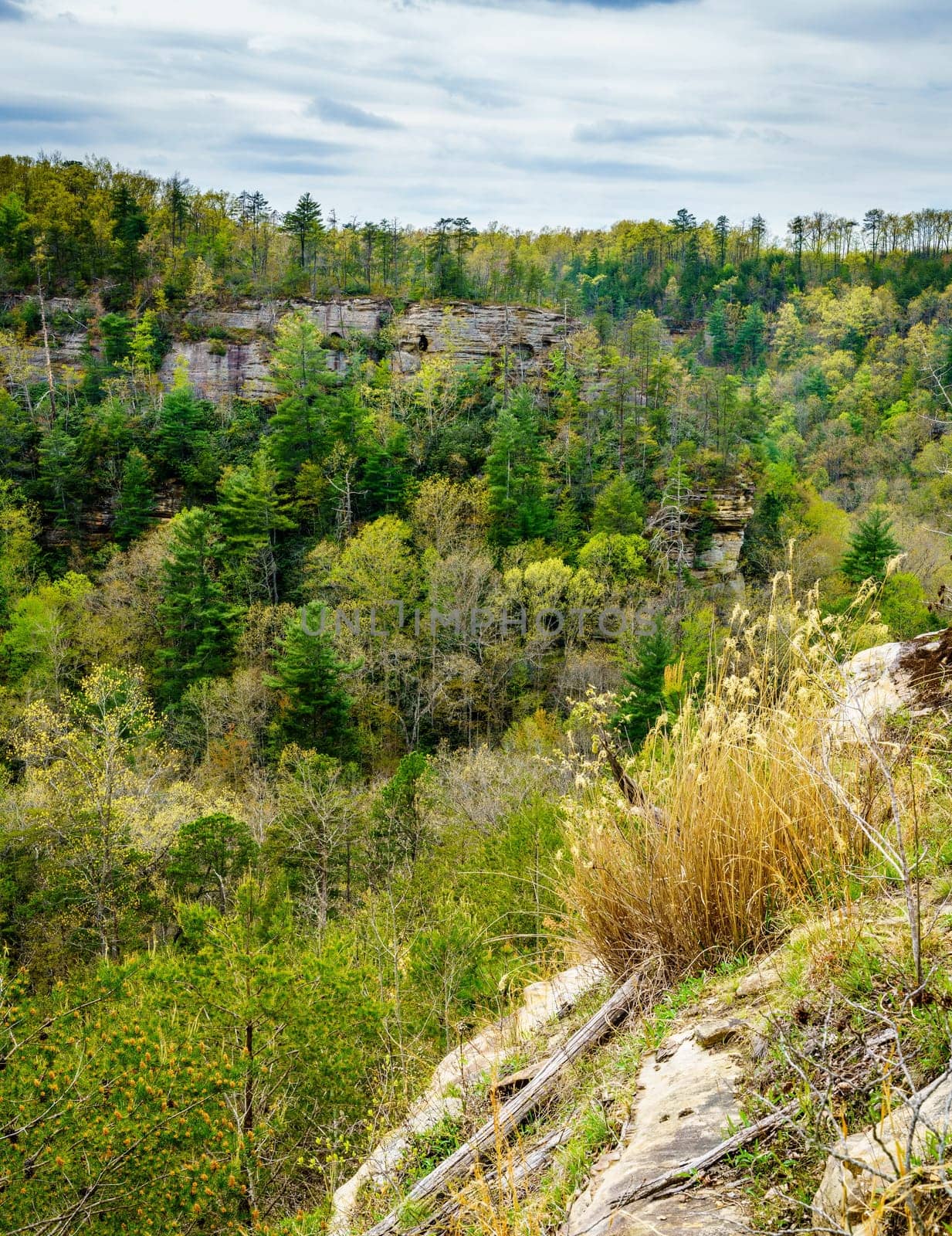 Scenic view of Red River Gorge formations in Kentucky in spring