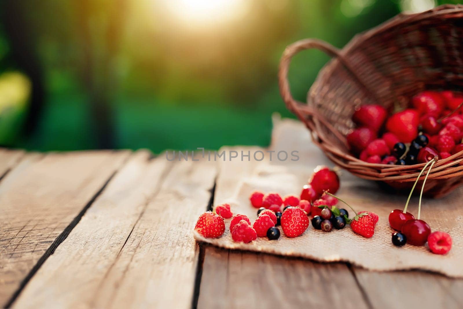 Overturned wicker basket with various berries on a piece of cloth on wooden terrace background in the blurred morning sun. Strawberry, raspberry, currant, blueberry, cherry, sweet cherries