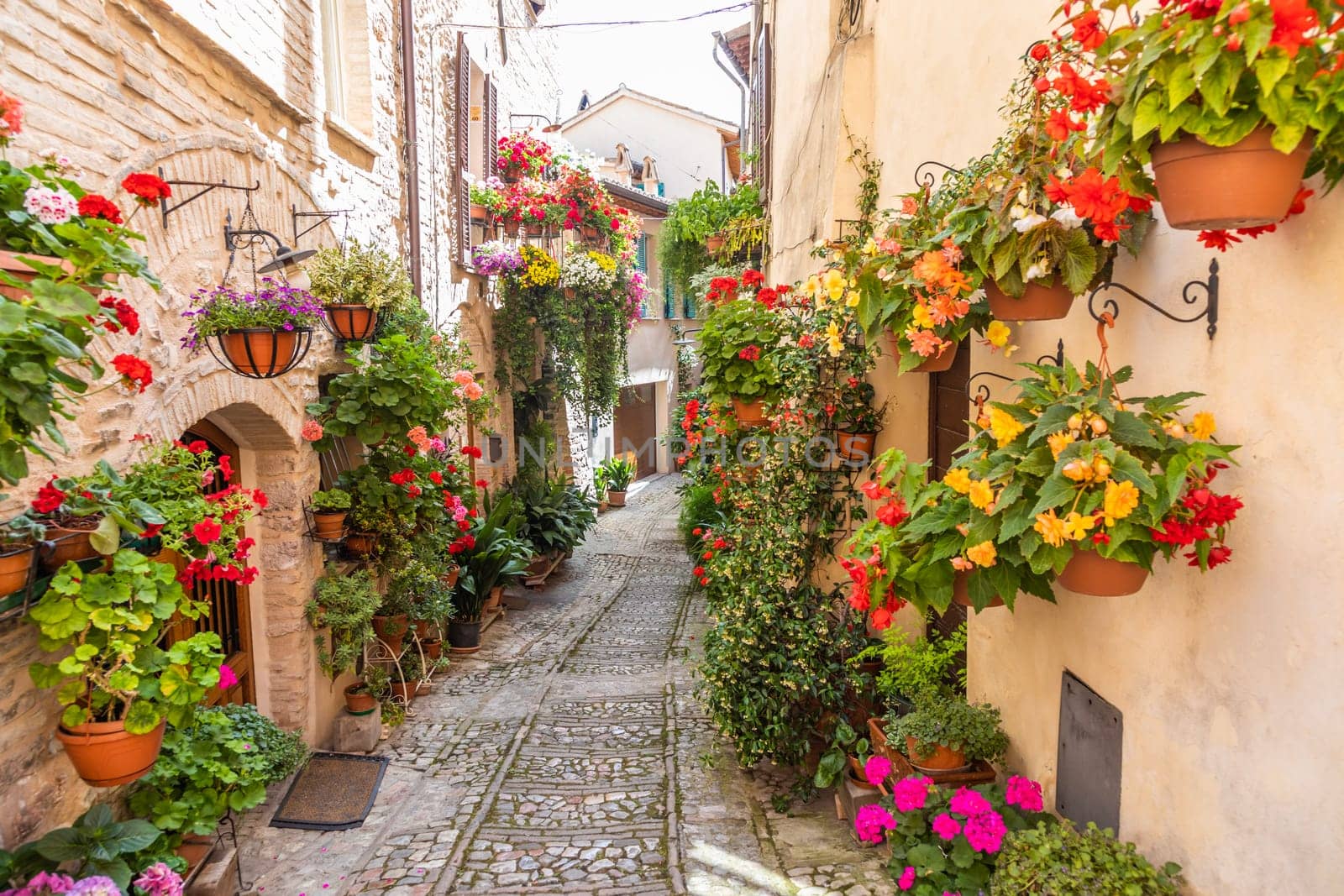 Spello, Italy - Circa June 2021: flowers in ancient street. Spello is located in Umbria region, Italy.