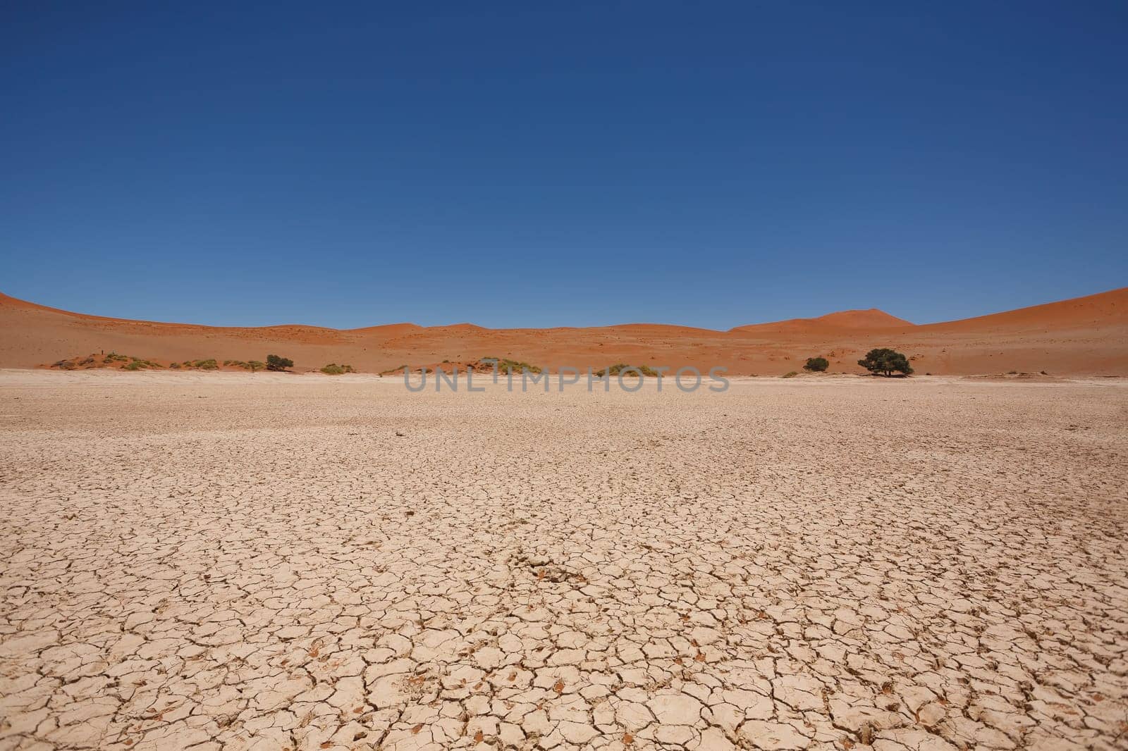 Sossusvlei salt pan with red dunes in background, Namibia