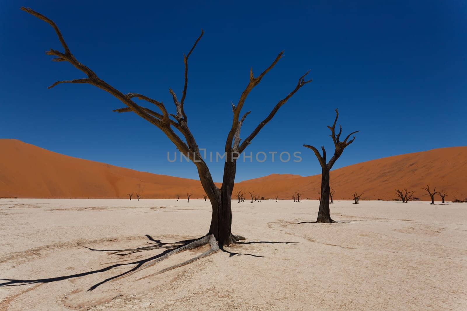 A view from Dead Vlei, Sossusvlei Namibia