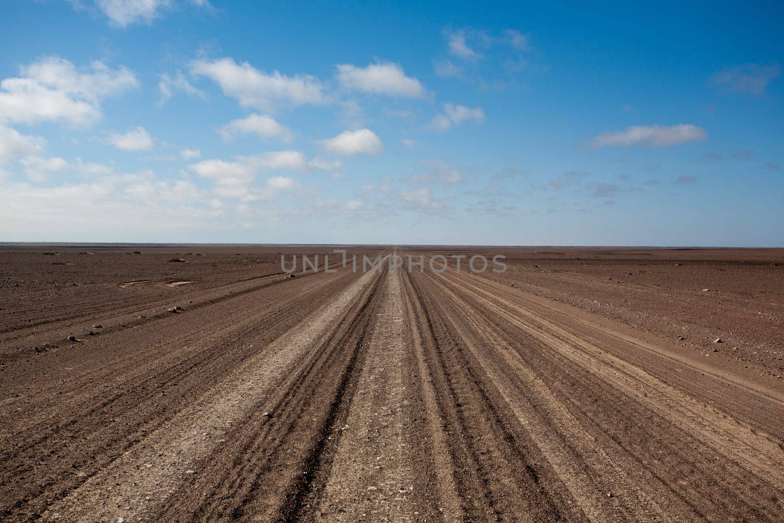 Salt road from Skeleton coast, Namibia