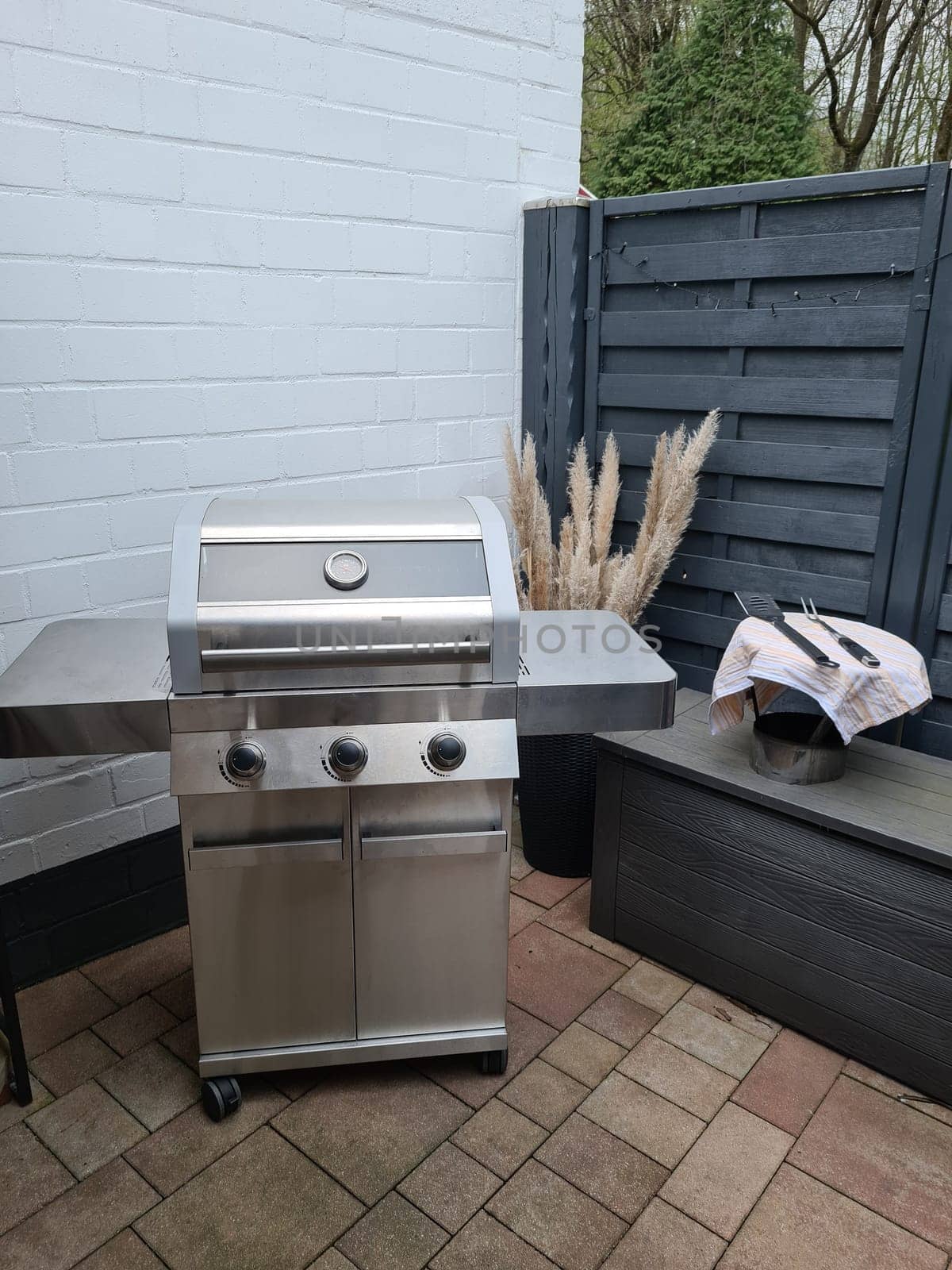 Professional chef cooking fish on a barbeque