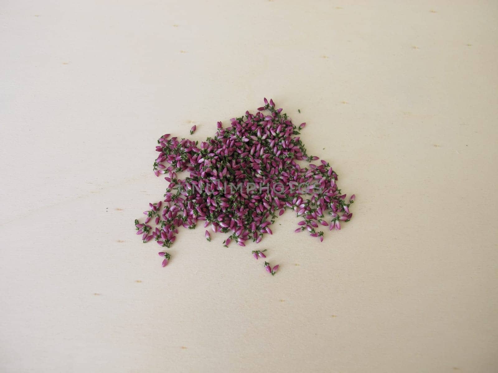 Dried pink heather flowers on a wooden board