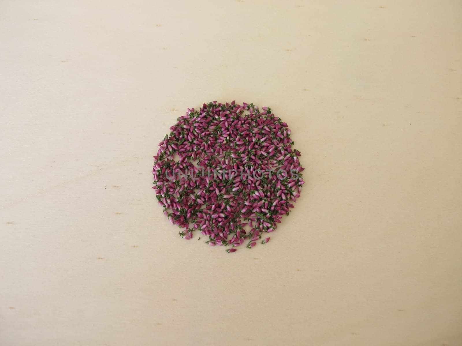 Dried pink heather flowers on a wooden board