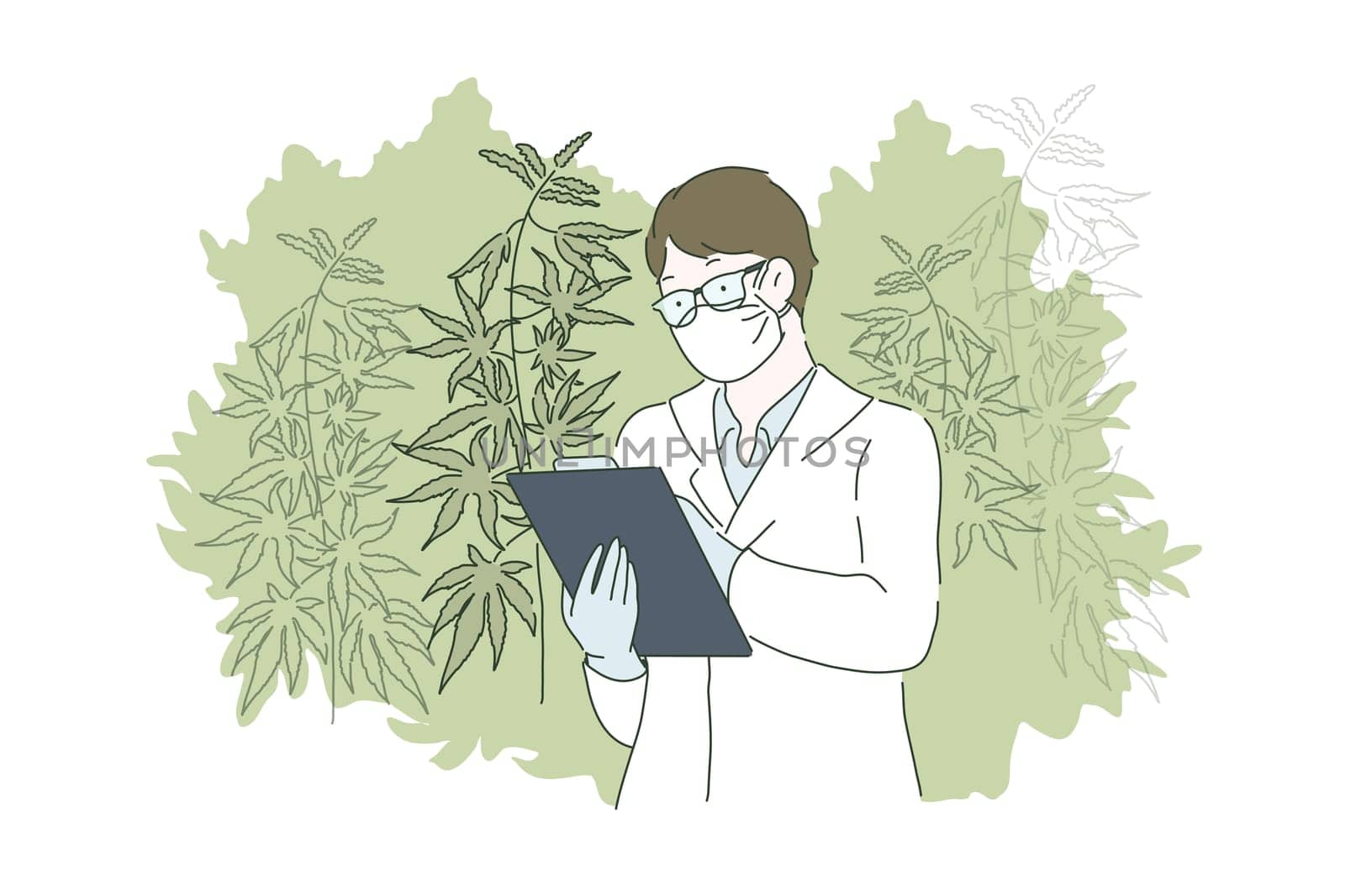 Herbal alternative medicine concept. A young man or guy grows cannabis or marijuana cultivation and checking and analizing hemp plants. Vector flat design.