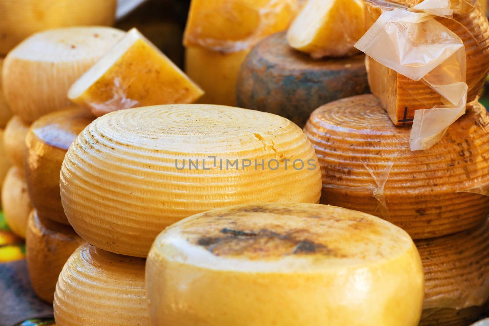 Different sorts of farm made italian cheese produced from goat milk