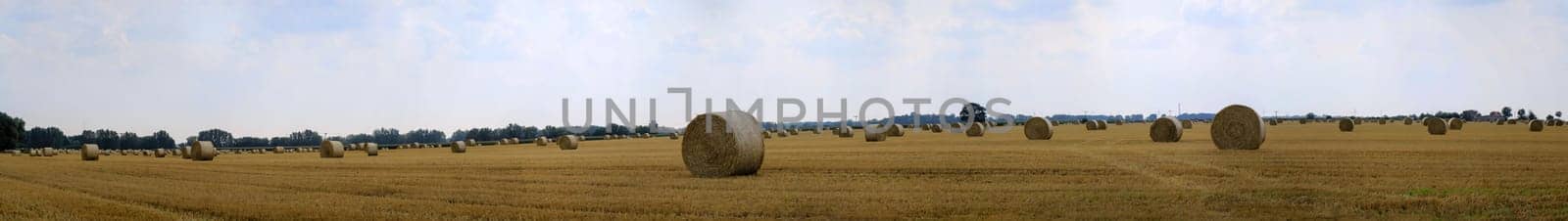 Round rolls of straw lie around on a harvested grain field.