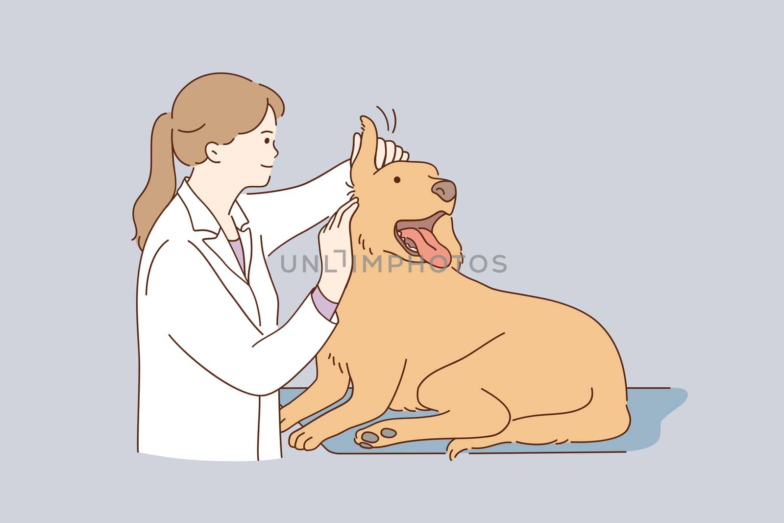 Veterinarian doctor during work concept. Young kind smiling woman veterinarian in white uniform working at office examining ears dog vector illustration