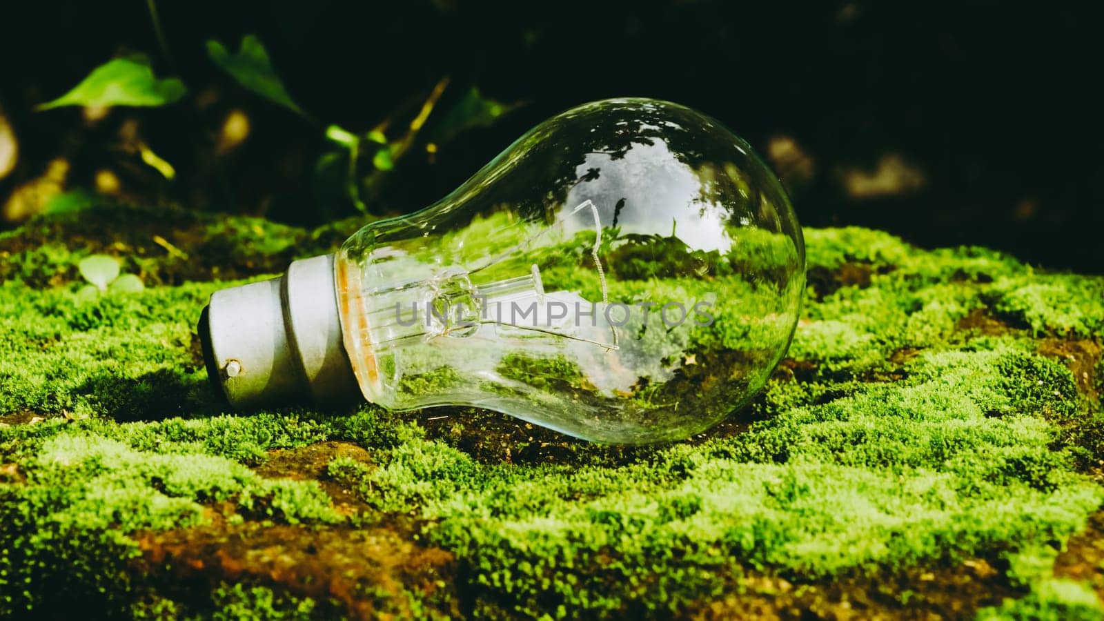 A fluorescent light bulb in sunlight on green nature background. Green business, economy, eco-industries start up ideas innovation background . Go Green to minimize human impact on environment concept