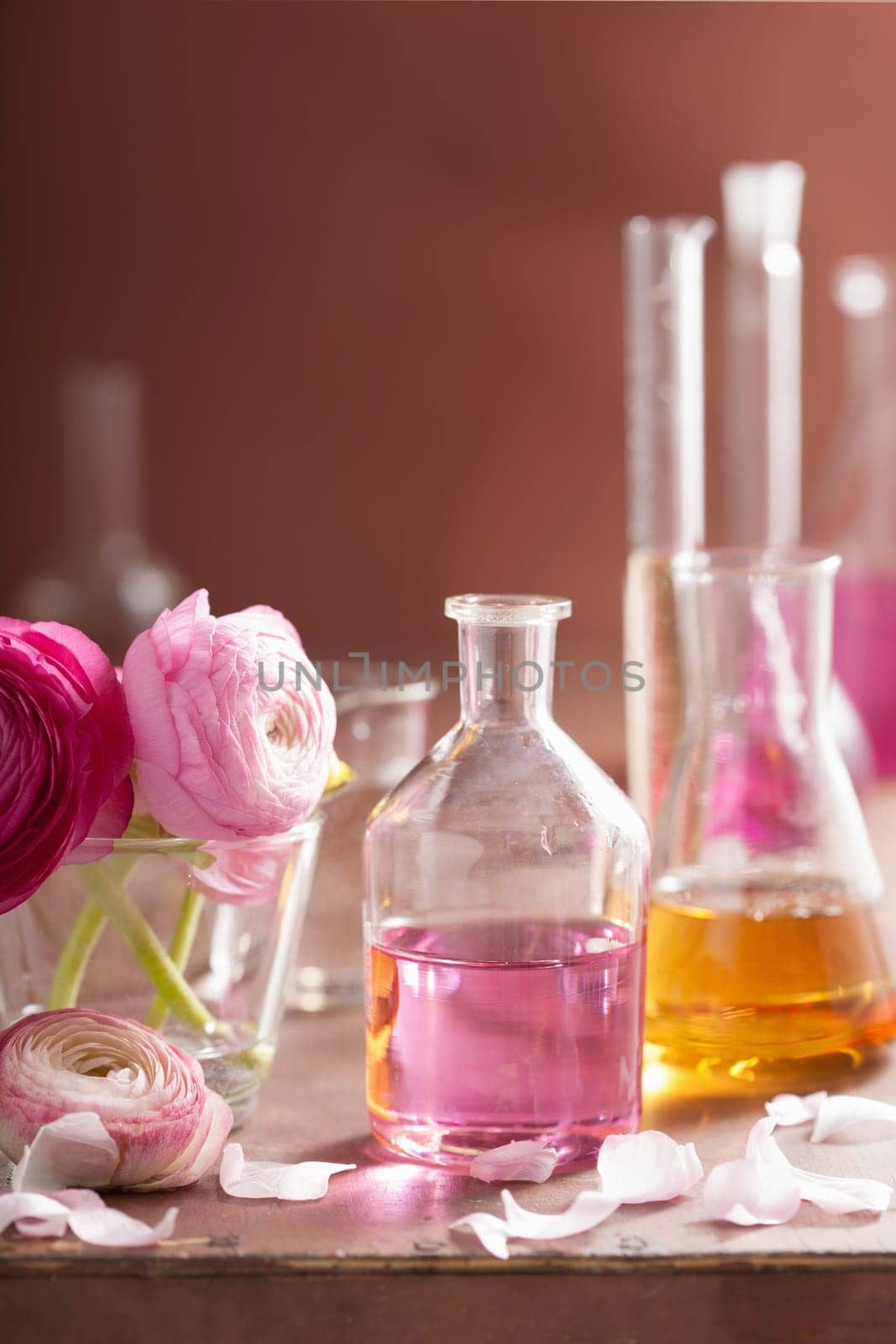 alchemy and aromatherapy set with ranunculus flowers and flasks
