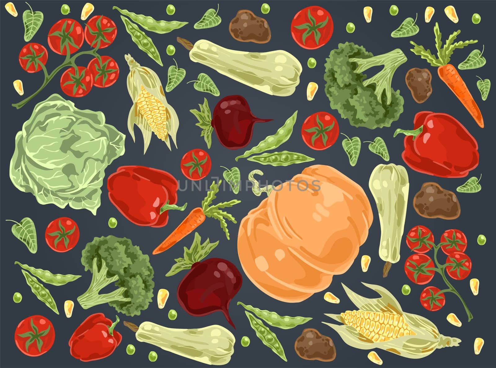 Natural vegetables, pumpkin, cabbage, tomatoes, paprika, broccoli, corn, carrot, beetroot, potatoes, organic nutrition set. Farm food, seasonal harvest concept cartoon sketch. Flat vector illustration