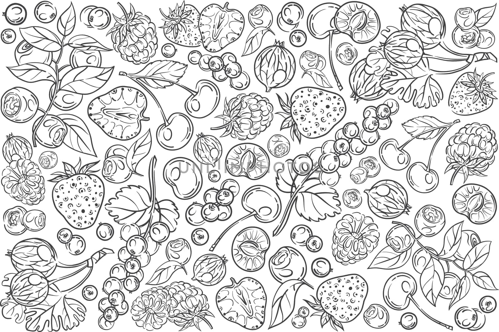 Hand drawn different berries. Cherry, strawberry, raspberry, blackberry etc doodle set background
