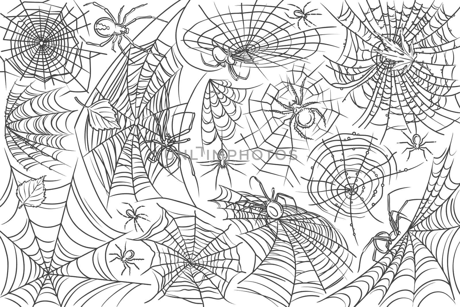 Hand drawn spider and web. Cobweb and spider, symbols of horror danger doodle set background