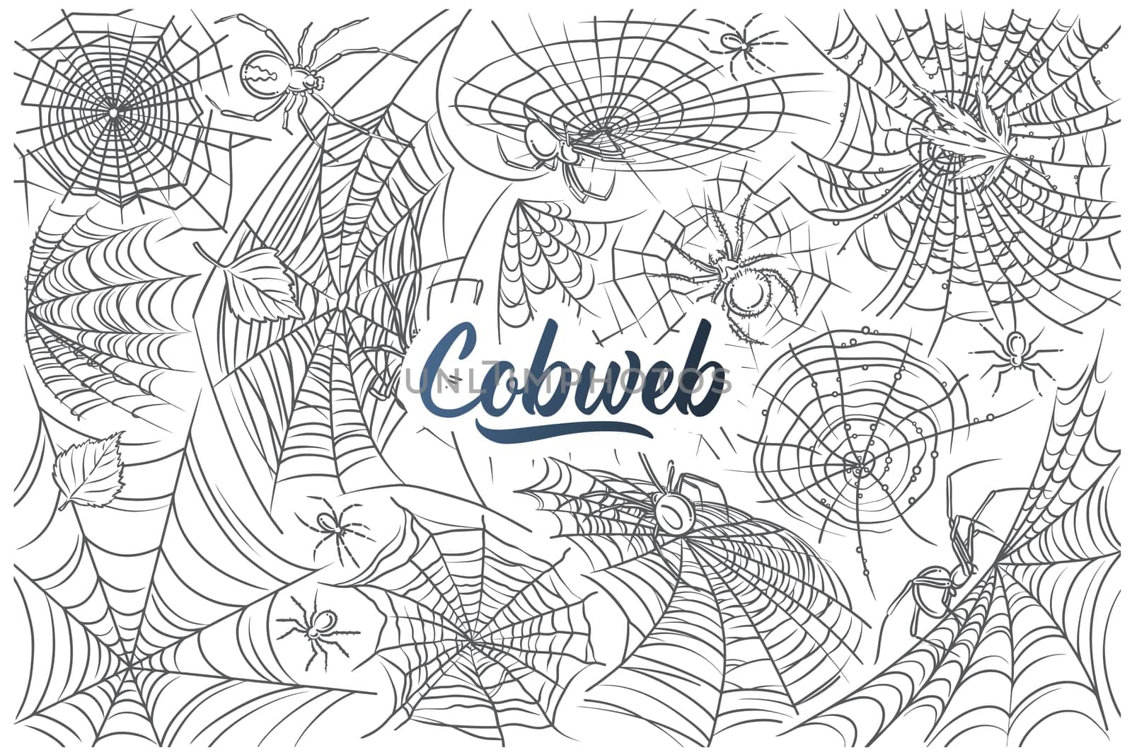 Hand drawn spider and web. Cobweb and spider, symbols of horror danger doodle set background