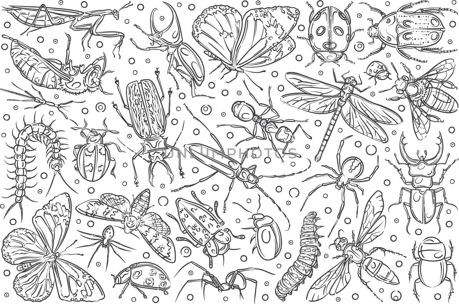 Hand drawn insects ant and butterfly. Dragonfly and beetle, spider and ladybug, mantis and lavra doodle set background