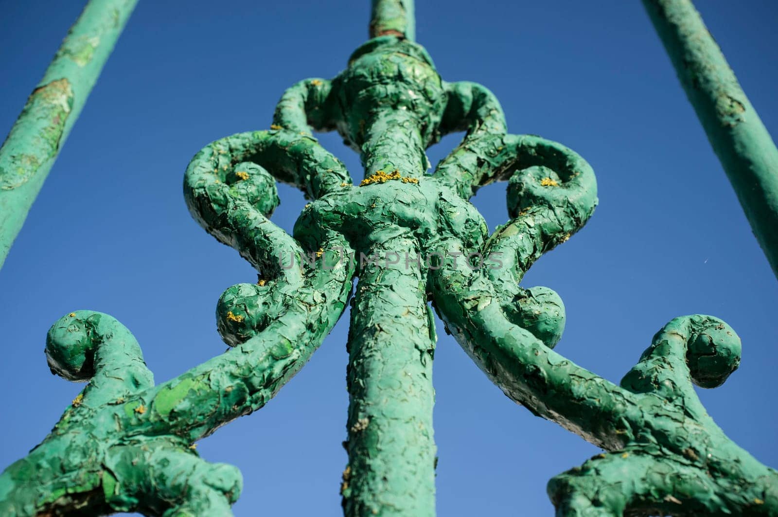 Green weathered iron door full of yellow lichens. Closeup