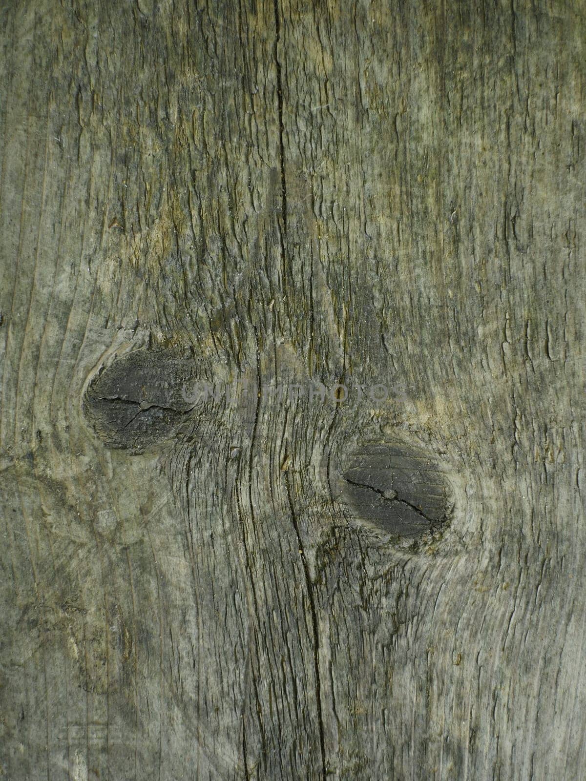old weathered cracked wood surface with knots